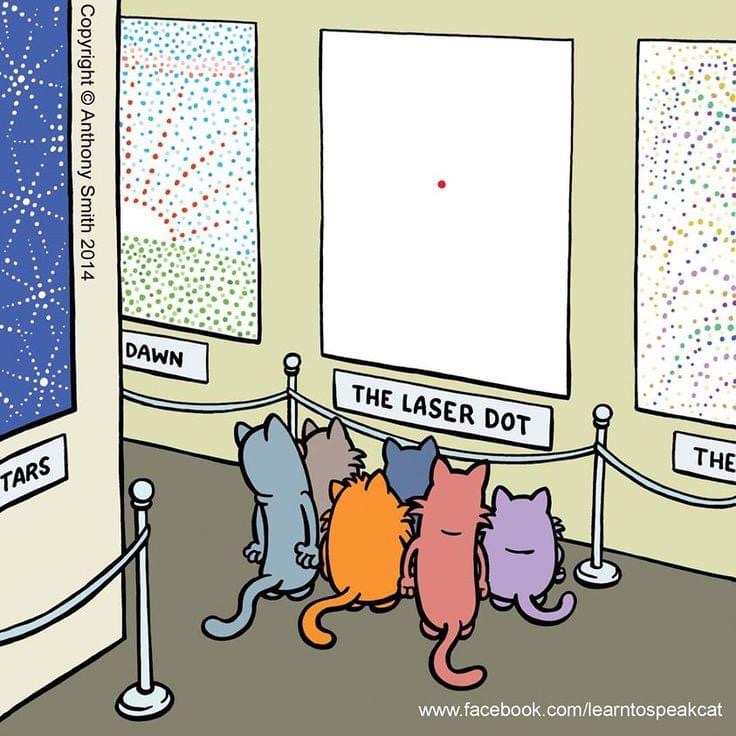 Fascinating Art for Cats