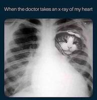 My Chest XRay would be brimming full