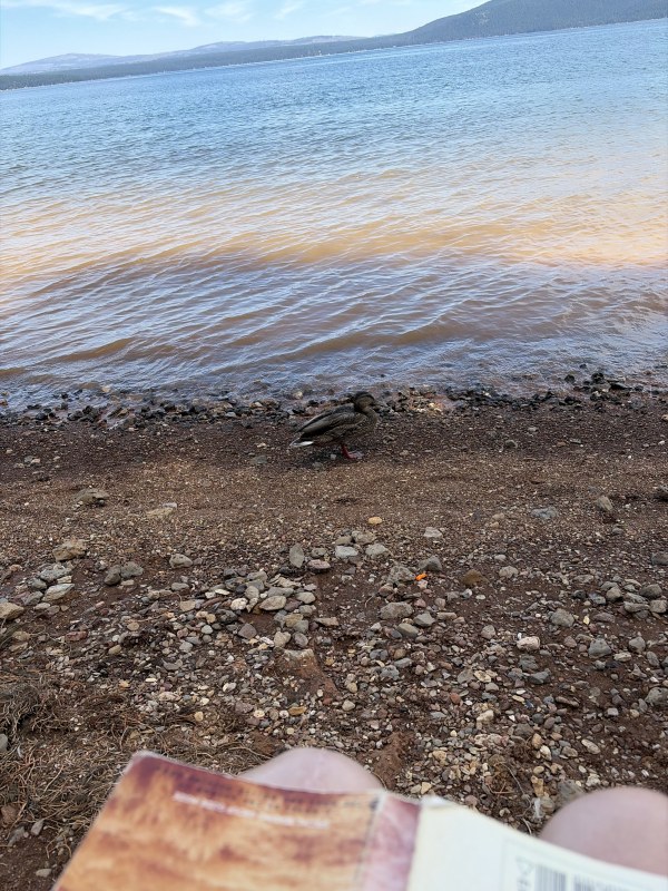 Lake Almanor August 2026