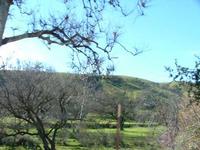 Pretty Springlike Day - January 2005