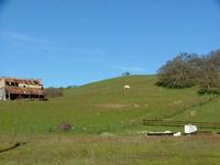 Pretty Springlike Day - January 2005