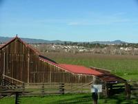 Pretty Springlike Day - January 2005