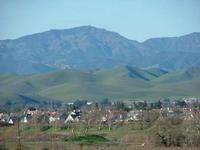 Pretty Springlike Day - January 2005