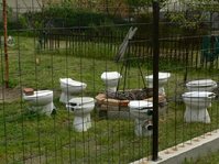 Men Lacking Adult Supervision