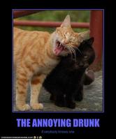 Cute Kitties