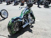 Freedom Rally 2005