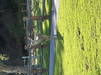 Coyote Reservoir visit