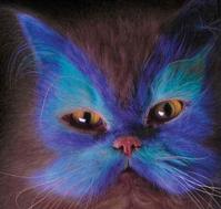 Painted Cats (Seriously)