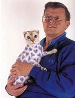 Painted Cats (Seriously)