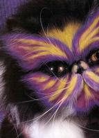 Painted Cats (Seriously)