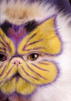 Painted Cats (Seriously)