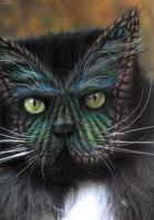 Painted Cats (Seriously)