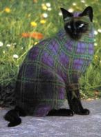 Painted Cats (Seriously)