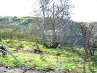 Pretty Springlike Day - January 2005