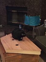 Hammered Dulcimer Construction