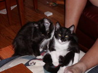 Old Archived pix