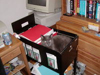 Old Archived pix
