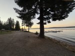 Walking at dusk